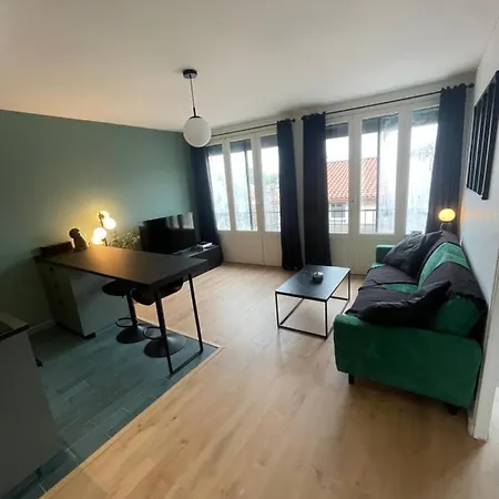 Cocon A 5minutes Du Capitole * Tuluza